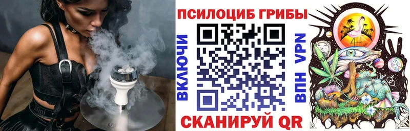 Псилоцибиновые грибы мицелий Берёзовский